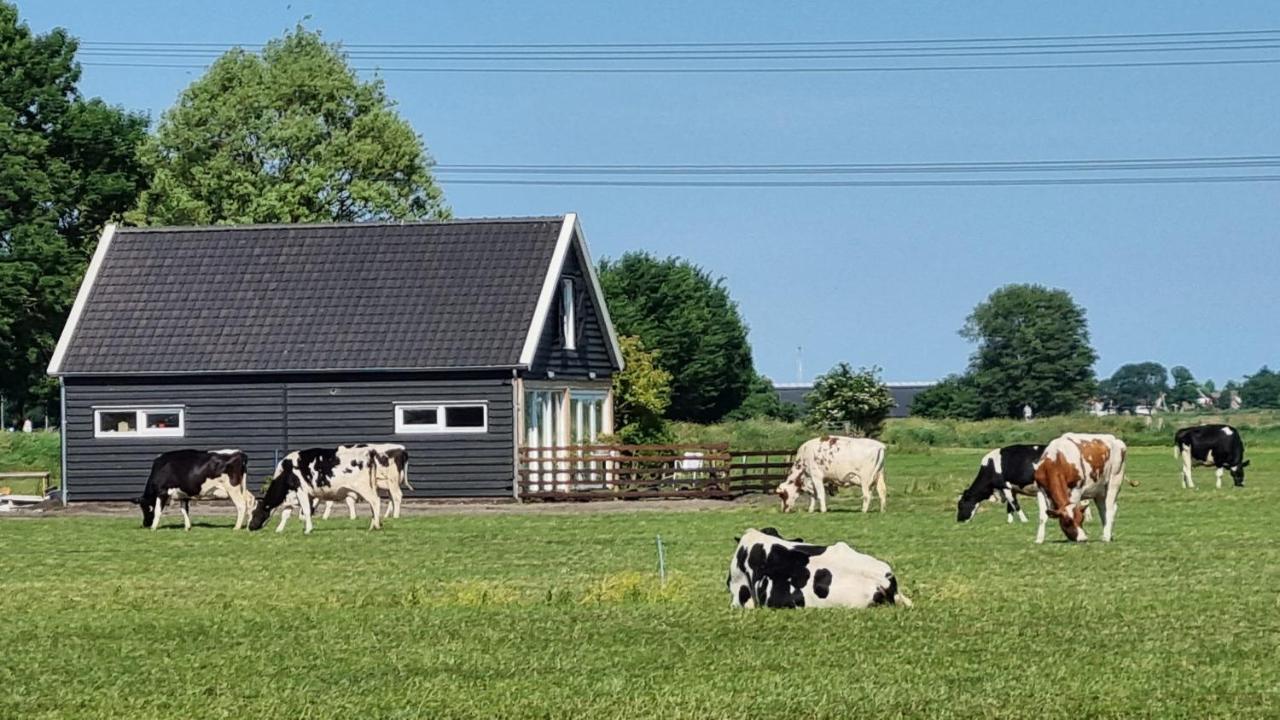 City Farmers Lodge, A Guesthouse With A Skyline View In Rural Amsterdam Luaran gambar