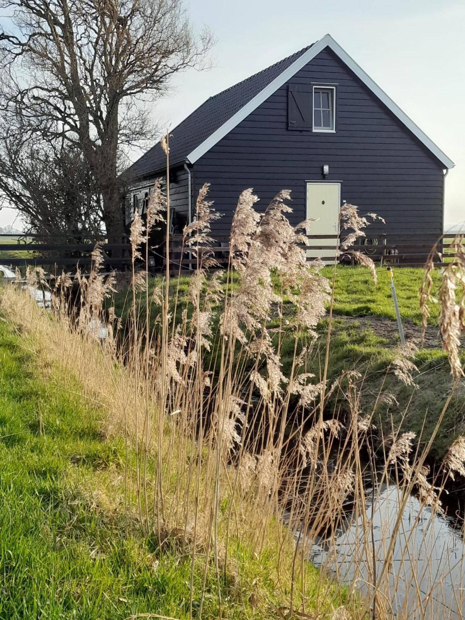 City Farmers Lodge, A Guesthouse With A Skyline View In Rural Amsterdam Luaran gambar